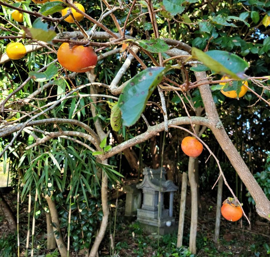 Kominka Art Museum Villa Asahi  Bagian luar foto