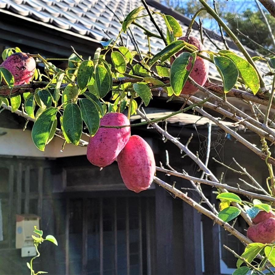 Kominka Art Museum Villa Asahi  Bagian luar foto