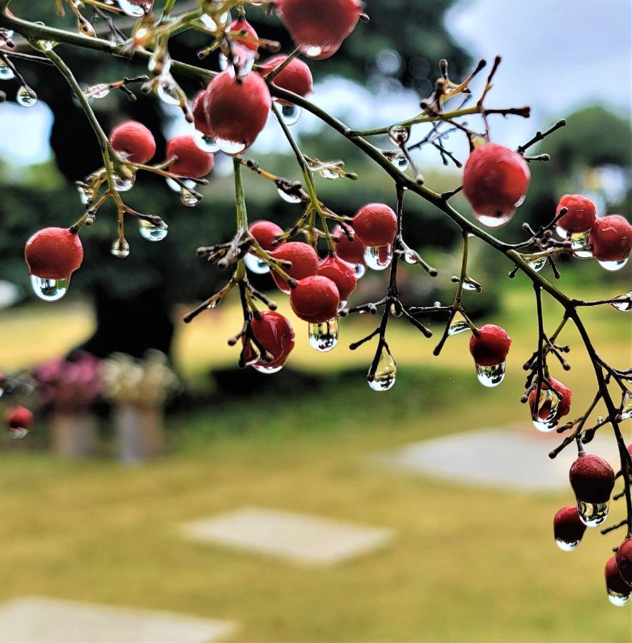 Kominka Art Museum Villa Asahi  Bagian luar foto